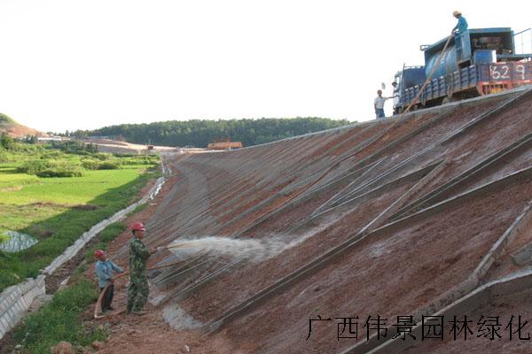 喷播草种1.jpg